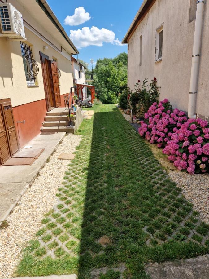 Apartment Gecse-villa Sarospatak